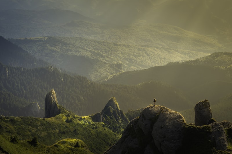 Nature Explorer
